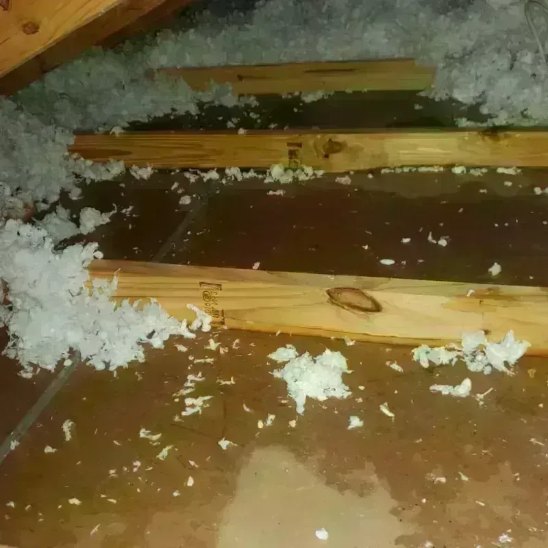 Attic Water Damage in Middleborough, MA